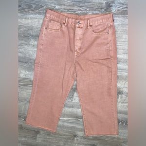 American Eagle Wide Leg Pant